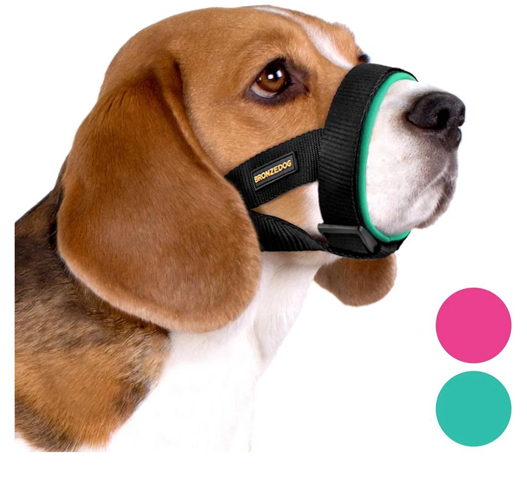BRONZEDOG Soft Padded Dog Muzzle Adjustable Neoprene Comfort Bitting Chewing Pet Muzzles for Small Medium Large Dogs Puppy (Mint Green, Small)