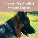 Genuine Real Leather Dog Collar for Medium Dogs, Heavy Duty Strong and Wide Dog Collar for Large and Extra Large Dogs, Classic Handmade Thick Collars for Large Breed Dogs (Large, Black) (Large: Fit 17-21" Neck)