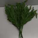 Artificial Christmas Norfolk Pine Stems Branches for Vases,12 Bundles Faux Pine Branches with 5 PCS Big Fake Pinecones Stems Greenery Evergreen Real Touch for Holiday Winter Table Xmas Decor