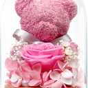 Preserved Rose Flowers Gifts for Her, Real Forever Rose in Glass Dome with Adorable Bear for Girlfriend,Mom,Wife,Grandma on Birthday Anniversary Valentine's Day (Pink)
