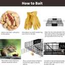 Squirrel Trap,Humane Catch and Release,Can Catch Multiple Squirrels or Chipmunks at Once