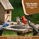 3 LB Black Oil Sunflower Seeds for Birds  Premium Wildlife & Bird Food  Grown in USA - Non-GMO - Black Oil Sunflower Seeds for Wild Birds and Backyard Feeders