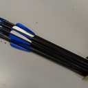 Archery Targeting Arrows 28inch Practice Arrows for Recurve Bow Fiberglass Training Arrows for Adult Youth and Teens (Pack of 12)