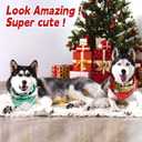 3 x Dog Christmas Bandanas, 2 Pcs Christmas Friends Show Dog Bandanas for Friends TV Show Fans Gifts, Pet Party Costume Accessories Decoration