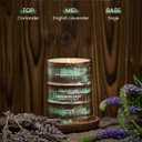 M&SENSE Spring Candle,Lavender Sage Scented Candles Natural Non Toxic, Aromatherapy Candle for Stress Relief Meditation Relaxing, Housewarming Gifts for Women Men, 11.3oz