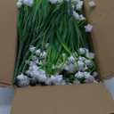 TURNMEON 20 Bundles Artificial Flowers for Outdoors Fake Plants Summer Decor, UV Resistant Artificial Plants Cemetery Fake Flowers Faux Plastic Greenery Shrub for Home Porch Decor 580 Heads(White)