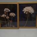 2Pcs Framed Moody Botanical Wall Art with Wood Frame Vintage Queen Annes Lace Flower Canvas Paintings Rustic Floral Poster Picture Prints Decor for Farmhouse Living Roomor Bedroom12X16Inch