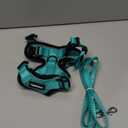 rabbitgoo Cat Harness and Leash for Walking, Escape Proof Soft Adjustable Vest Harnesses for Cats, Easy Control Breathable Reflective Strips Jacket, Emerald, XXS