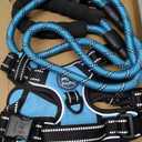 PoyPet Dog Harness and Leash Combo, Escape Proof No Pull Vest Harness, with 5 Feet Leash, Reflective Adjustable Soft Padded Pet Harness with Handle for Small to Large Dogs(Blue,M)