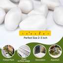 Pulovin 40 lbs White Rocks for Landscaping, 2-3 Inch Large White Rocks for Plants, Decorative Polished Stones for Garden, Walkways, Yard, Plants Pots, Vases, Crafts