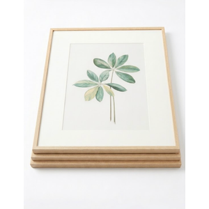 Framed Boho Sage Green Botanical Wall Art for Living Room, Farmhouse Minimalist Plant Artwork for Walls, 4 piece Vintage Leaf Picture Prints for Bathroom Bedroom Kitchen Wall Decor, 12x16 Inch