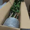 Bellacat 6ft Artificial Minimalist Citrus Tree with Lifelike Leaves, 72in Faux Citrus Tree with Realistic Trunks, Faux Tree Indoor Outdoor for Home Office Living Room Bedroom Porch Decor. (Basic Pot)