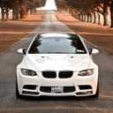 Cherry Blossom License Plate Frame  Stylish Black Frame with Pink Cherry Blossom Design, Stainless Steel Car Holder with Screws & Caps, Fits US & Canada Vehicles (Cherry Blossom)