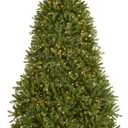 National Tree Company 9 ft Pre-Lit Dunhill Fir Artificial Christmas Tree, 900 Clear Lights, 4,026 Tips, PowerConnect, Includes Stand, Green