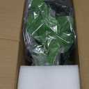 AlphaAcc 16 inch Artificial Indoor Plants Office Desk Faux Plant Peperomia Leaf Ficus Plant Realistic Small Fake Farmhouse Plants for Home Kitchen Bathroom Bedroom Evergreen Decor