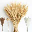 180PCS Dried Wheat Bundle with Pampas Grass & Bunny Tails – Natural Dried Flower Bouquet for Vase, Fall Centerpieces, Wheat Straw & Wheat Grass Decor for Rustic, Boho, Floral & Nature Room Decor