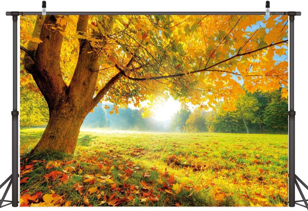 LYWYGG 10x8FT Autumn Golden Maple Deciduous Photography Background Fall Photo Backdrop Wedding Backdrop Newborn Photography Backdrops CP-189-1008