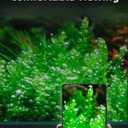 Mini Clip-On Aquarium Light 10W Full Spectrum LED for Nano & Betta Fish Tanks, Timer & 10-Level Dimmer, Freshwater Planted Desk Aquariums 38 Gallons