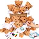 Blueweenly Make Your Own Stuffed Bear Gift Kit 10 Pcs 9.84 Inches Rose Velvet Bear 10 White T Shirt 10 Set 12 Color Watercolor Pen 10 Paper Card DIY