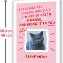 3 x Funny Cat Valentines Day Card - Roses Are Red Cat Card for Pet Owners (BT-158)