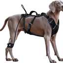 No Pull Dog Harness for Large Dogs, Heavy Duty Tactical Dog Harness with Handle, Easy Control and Training Better Leash Manners (Onyx Black, Medium)