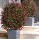 HyeFlora 26'' Artificial Boxwood Topiary Trees with Lavender 2 Pack Fake Plants for Outdoor Indoor Artificial Shrubs with Metal Ground Spike UV Resistant Fake Bushes for Front Porch Garden, Red