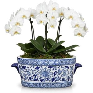 Blue and White Ceramic Planter Pot – Vintage Floral Oval Cachepot Vase for Indoor Plants, Flowers & Succulents – Glazed Porcelain Style Chinoiserie Décor –10.6" Size – No Drainage