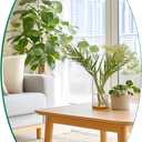 16 x 20 Glass Oval Bathroom Mirror for Over Sink, Frameless Small Oval Wall Mirror for Bathroom, Vanity, Bedroom, Living Room, Entryway, Home Wall Decor, 2-Sided Adhesive Tapes Include