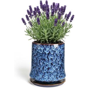 8 Inch Ceramic Planter Pot with Saucer Drainage Leak-Proof Mesh,Flower Pots for Lavender with Gardening Gloves,Ceramic Planter for Orchid(Peacock-Blue)