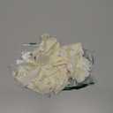Newborn Photography Props Baby Girl Lace Romper Newborn Baby Photo Props Outfits (Off White)