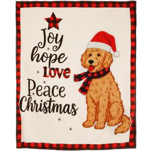 Cozy Christmas Throw Blanket, Christmas Decorations Gifts for Women, Print Fleece Winter Holiday Blanket, Fluffy Cozy Soft Christams Throws for Couch Sofa Bed, 50" X 60" (Red Scarf Teddy)