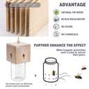 2 PCS Wood Carpenter Bee Trap for Outside - Best Bee Trap - Cube Style Nature Hanging Carpenter Bee Traps Plastic Jar Outdoor - Insect Traps