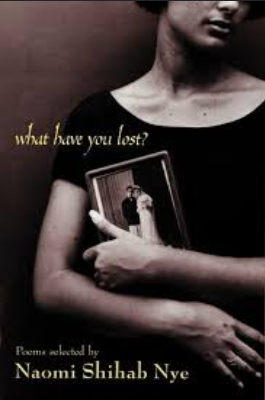 Book: What Have You Lost? (Paperback)