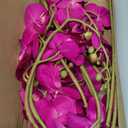 UUXX Hot Pink Artificial Orchids Flowers 5PCS Faux Orchid Stems 35.4" Phalaenopsis Branches for Tall Vase for Bridal Shower Home Party Wedding Decoration (Hot Pink)