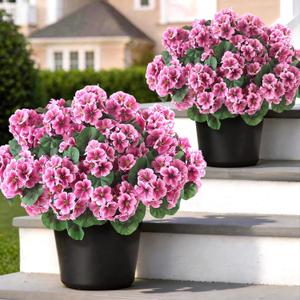 2 Pack Artificial Geranium Flowers Topitary Trees for Outdoors, UV Resistant Geraniums Potted Bushes Look Real Silk Faux Plants for Front Door Garden Porch Planter Farmhouse Home Decor (Pink)