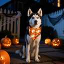 Realeaf Halloween Dog Bandanas 2 Pack, Reversible Orange Gray Pet Scarf for Boy and Girl, Premium Durable Fabric, Holiday Bandana for Small Medium Large and Extra Large Dogs (Halloween, X-Large)