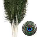 Ballinger 30pcs Natural Peacock Feathers Long Pole Bulk 32-35 inch for DIY Craft, Wedding Holiday Decorationn and Floral Arrangement