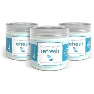 Wipex Odor Eliminator for Home - Refresh Eucalyptus & Mint Odor Absorber, 15 Oz Gel Jar, Long-Lasting Freshness, Ideal for Rooms, Offices, Yoga Studios, Effective Odor Eliminator, Pack Of 3