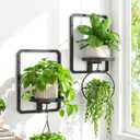 iDavosic.ly Wall Plant Picture Frame Holder Set of 2 for Indoor, Metal Stand with Hanging Hooks, Floating Flower Display Decor, Space Saving & Easy to Assemble (Pots/Chains/Plants Not Included) (Rectangular - 2 Pack, Black)