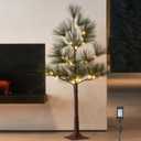 Hairui Lighted Christmas Pine Tree with Lights 4FT 36 Warm White LED Lights, Tree with Lights for Room Thanksgiving Christmas Holiday Decoration Indoor Outdoor