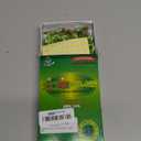 Kang HWA Stick-On Mini Moxa - Green (Green *45c(113f) ~ 50c(122f))