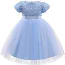 TTYAOVO Girl Flower Pageant Princess Party Tulle Dress (3-4T, 737_c Blue)