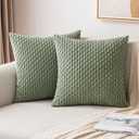 MIULEE Throw Pillow Covers Soft Corduroy Decorative Set of 2 Boho Striped Pillow Covers Pillowcases Farmhouse Home Decor for Couch Bed Sofa Living Room Spring 22x22 Inch Sage Green (22" x 22" (Pack of 2))