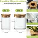 Glass Plant Propagation Station Set Water Planting Glass Vase for Herb Cuttings,Succulent Water RootingDesktop Planter Jars for Home,Office,Living Room,Bedroom Decor(6PCS)