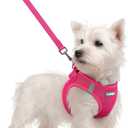 rabbitgoo Dog Harness Small Sized and Leash Set, Step in Soft Light Puppy Vest, Breathable Mesh Pet Harness, Reflective for Safe Easy Walking, Rose Red S
