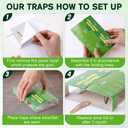 24 Traps Silverfish Trap, 12 Sheets Silverfish Killer Indoor, Non-Toxic Insect Trap with Dual-Color & Pattern Lure for Crawling Insect, Safe for Kids & Pet,Use as 24 Small or 12 Large Detachable Traps