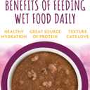 Soulistic Moist and Tender, Mystic Menu Variety Pack, 5.5oz Can, Pack of 12