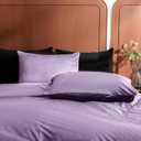 2 Pack Zippered Velvet Standard Pillowcases, Super Soft and Cozy Luxury Fuzzy Flannel Pillow Cases with Zipper, 20x26 Inches, Purple