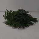 9FT 2PCS Christmas Garland Norfolk Pine Garland Real Touch Artificial Greenery Garland for Mantle Fireplace Table Indoor Outdoor Holiday Decortions (Dark Green)