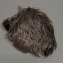 Sallcks Men's Short Grey Wig Natural Layered Costume Halloween Wigs Synthetic Heat Resistant Hair Replacement Wigs for Male Guys